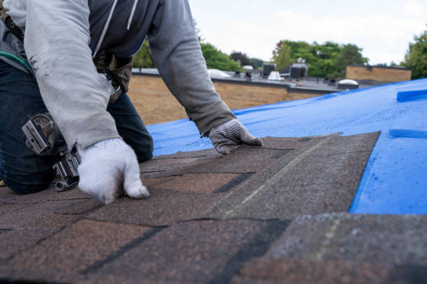 Best Commercial Roofing Services  in Mountain View, HI
